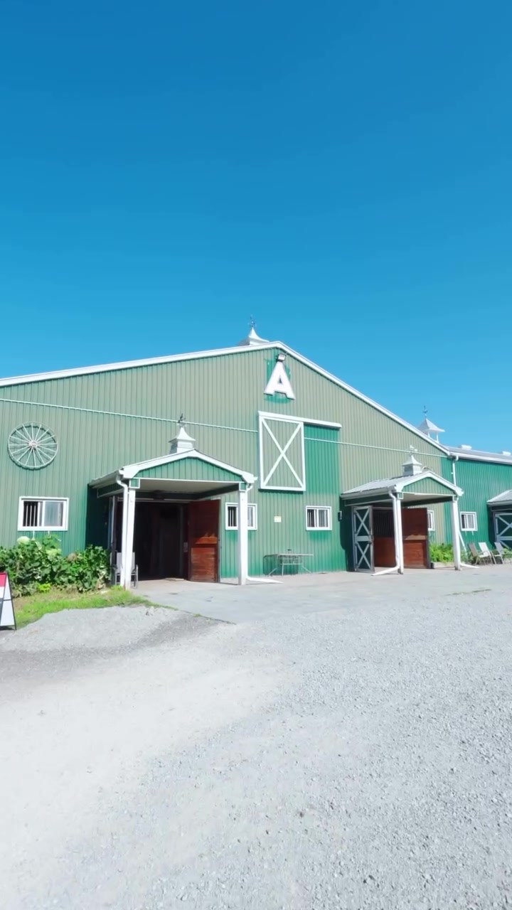 The green barn at Amplify Venue's 100-acre horse farm in Loretto, Ontario